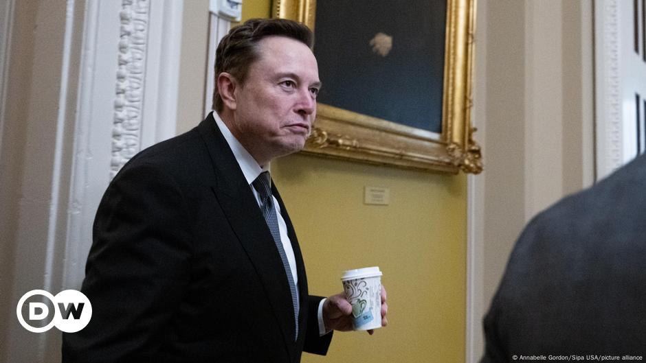 European leaders decry Elon Musk’s meddling – DW – 01/06/2025
