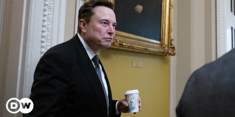 European leaders decry Elon Musk’s meddling – DW – 01/06/2025