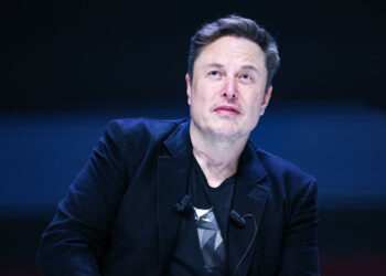 European leaders denounce Elon Musk’s influence on the continent