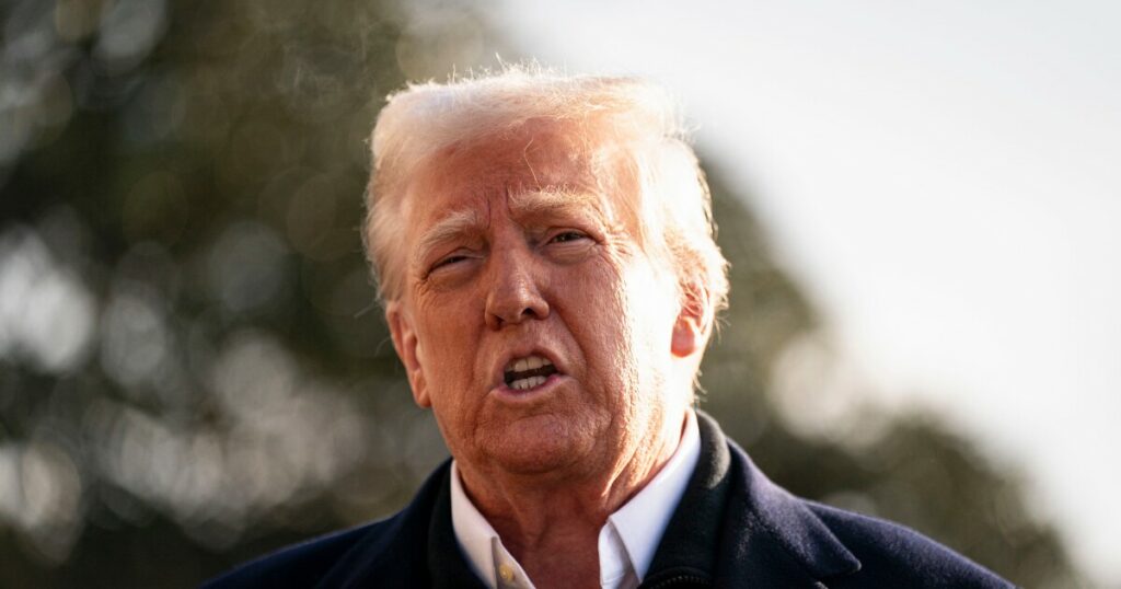 Following Trump, Czech Republic proposes crypto reserve | PaymentsSource