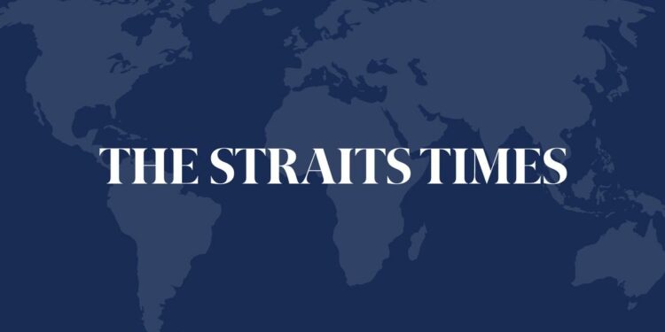 The Straits Times logo