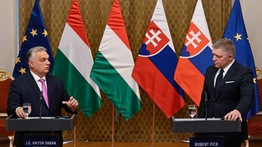 Hungary and Slovakia reject Ukraine’s NATO membership bid