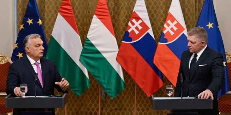 Hungary and Slovakia reject Ukraine’s NATO membership bid
