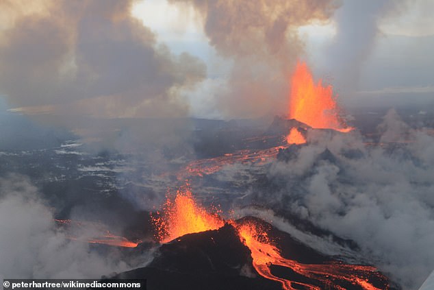 The 2014-2015 Holuhraun eruption was the largest outbreak in Iceland for over 300 years and lasted for almost six months. Pictured, September 4, 2014