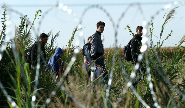 In One Week Five Migrants Lost Their Lives in Bulgaria’s Strandzha Mountain – Novinite.com