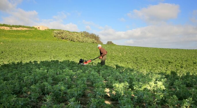 Maltese most dissatisfied in Europe with state of the environment in rural areas