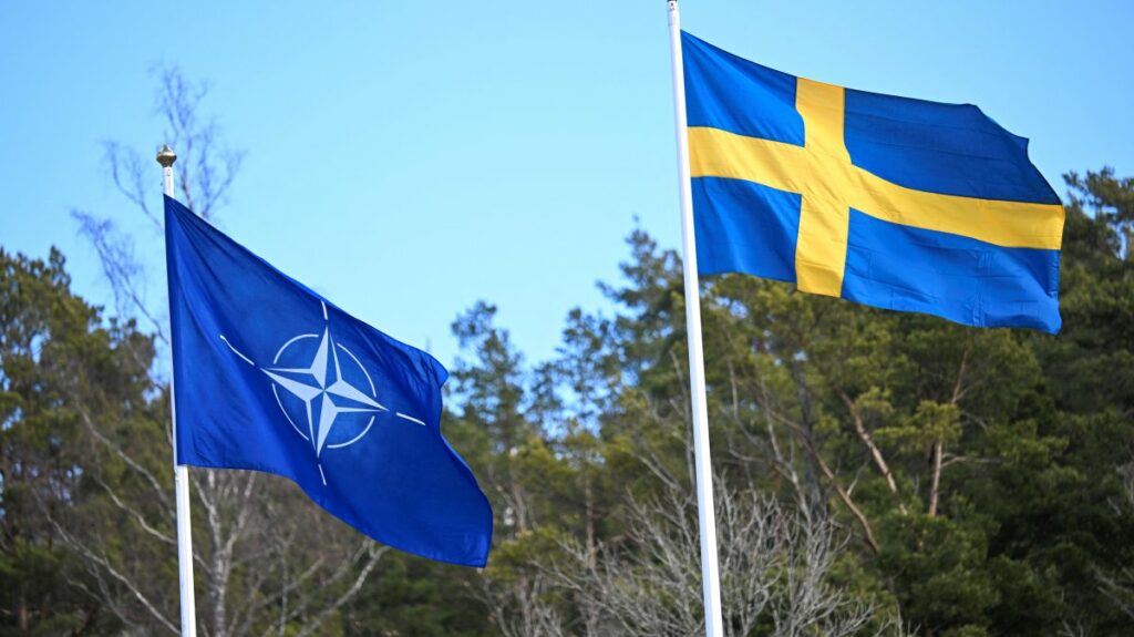 New NATO member Sweden to buy tanks, equipment worth nearly B