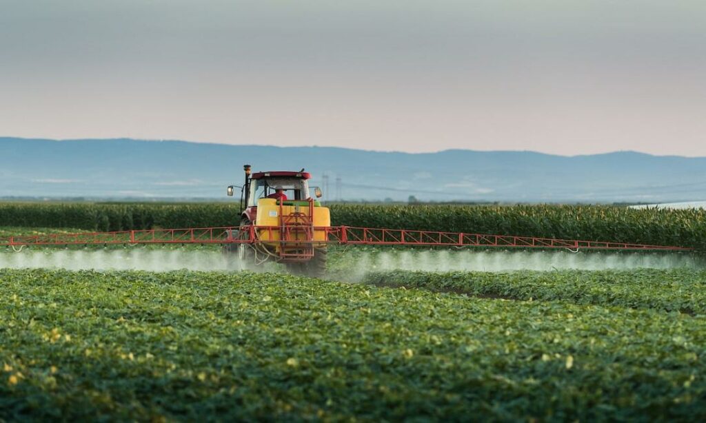 Politico: Romania defies EU law by approving banned bee-killing pesticides