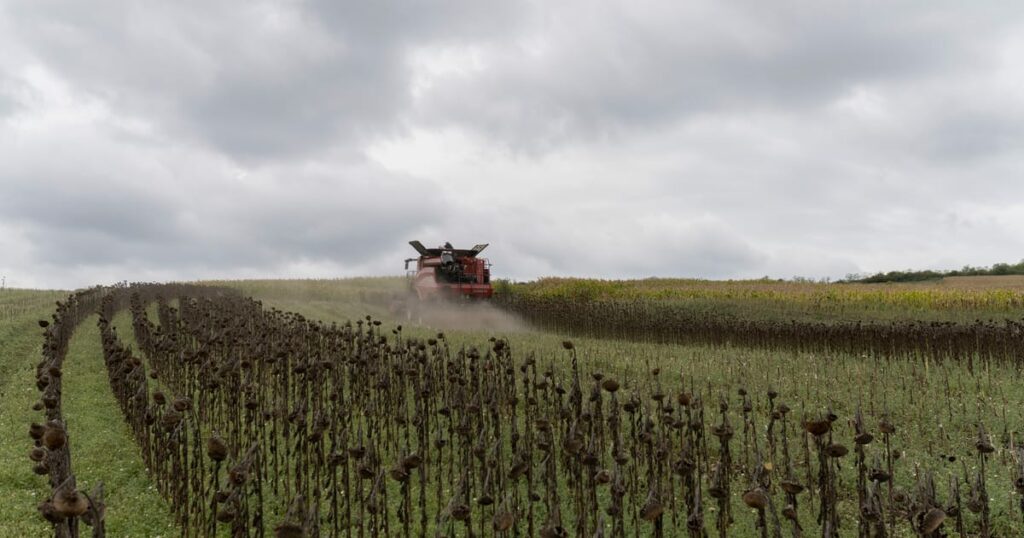 Romania defies EU pesticide ban, testing Brussels’ resolve – POLITICO