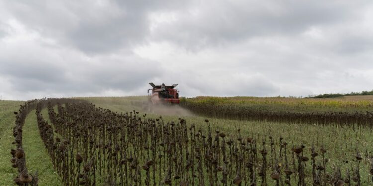 Romania defies EU pesticide ban, testing Brussels’ resolve – POLITICO