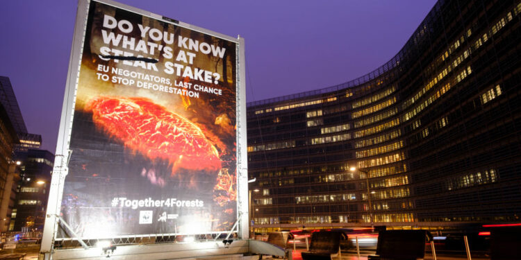 The Brief – European NGOs’ last lifeline