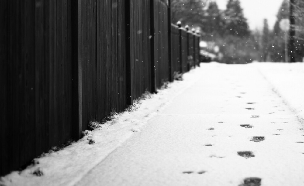 ‘Bulgarian police did not want to rescue underage migrants who were freezing to death’ (Frozen Lives report)
