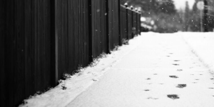 ‘Bulgarian police did not want to rescue underage migrants who were freezing to death’ (Frozen Lives report)
