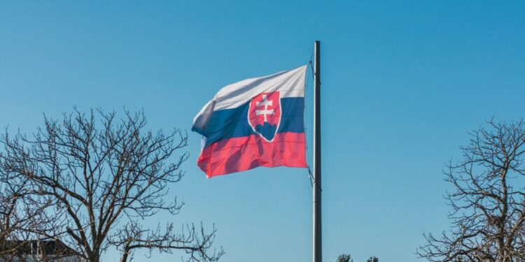 Slovakia added 274 MW of PV in 2024 – pv magazine International