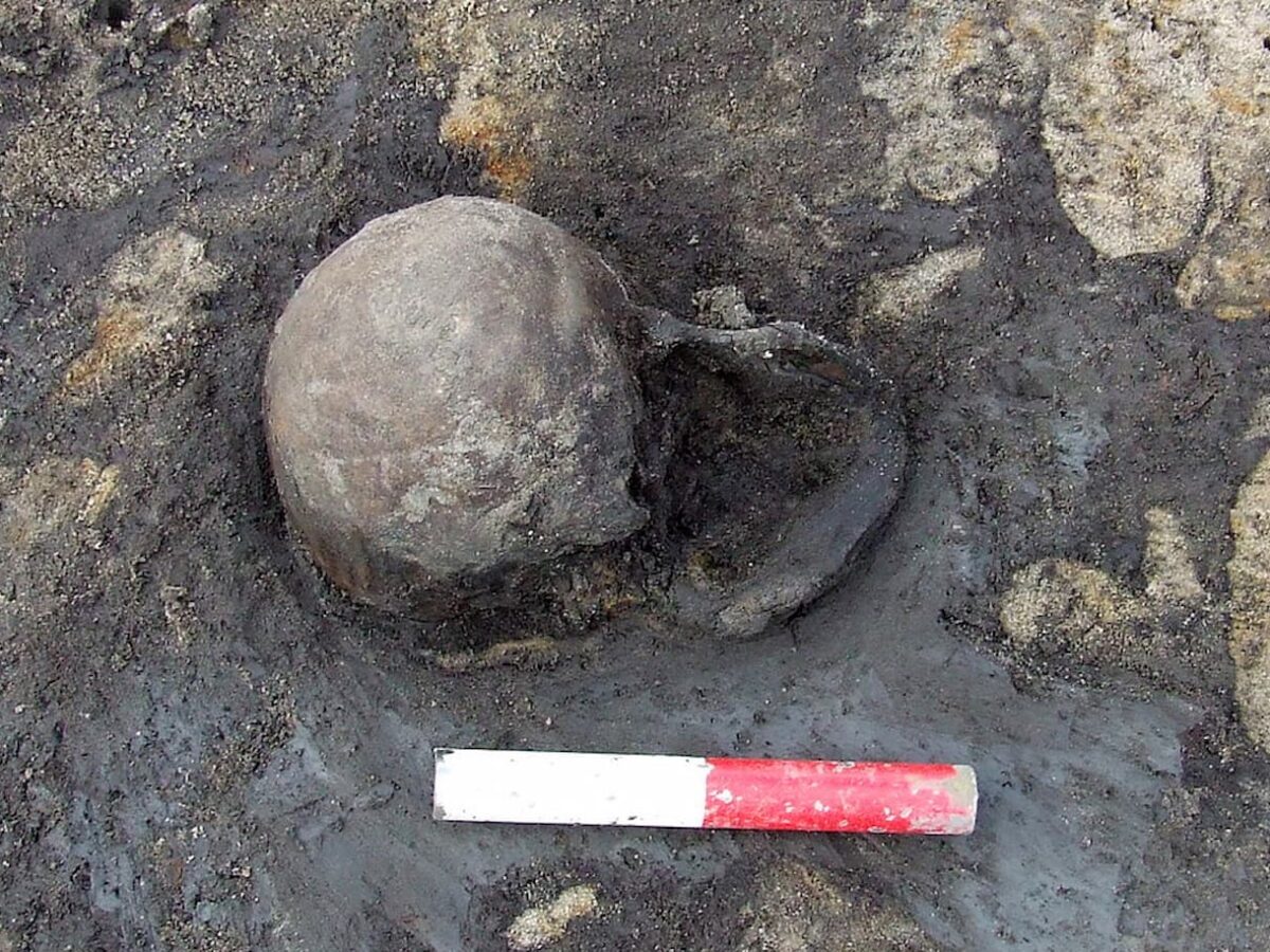 The Heslington Brain: A Remarkably Well-Preserved 2,600-Year-Old Human Brain Found in a Pit