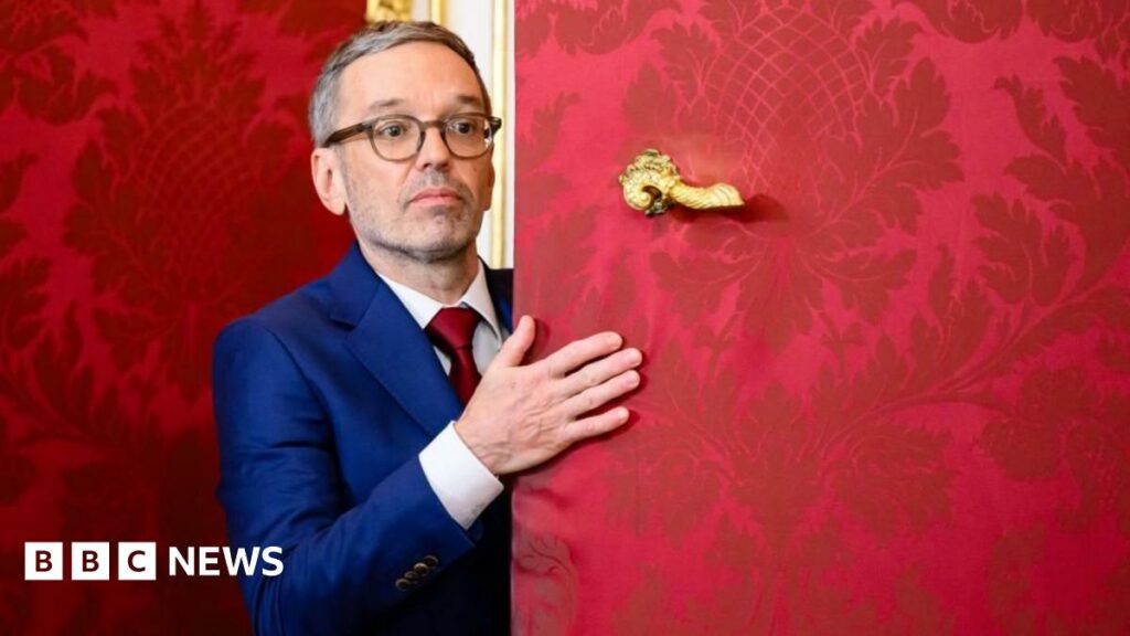 Austria’s political crisis deepens as far right fails to form government