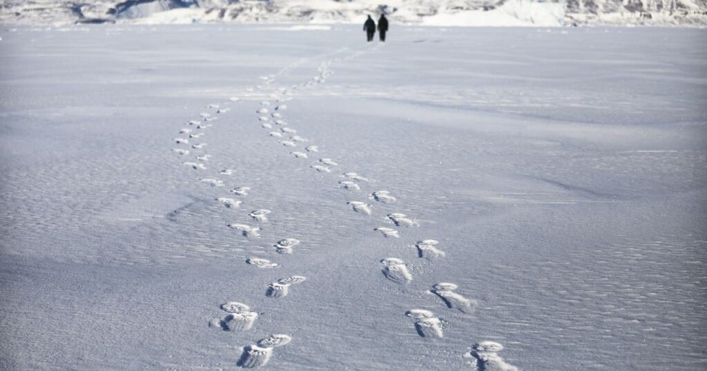 Denmark gets ready to defend Greenland from Trump … with warm socks – POLITICO