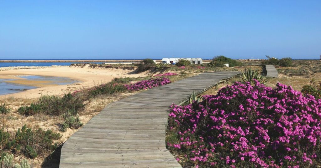 Europe’s beautiful ‘desert island’ that has no homes or roads – but one restaurant | Travel News | Travel