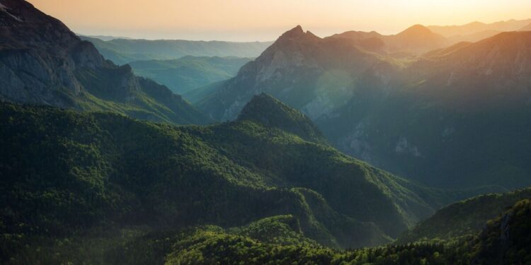 Europe's jaw-dropping last remaining rainforest the size of Heathrow | World | News