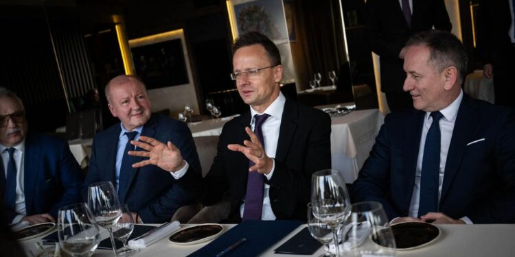 Hungary, Serbia Both Attach Strategic Importance to Bilateral Relations