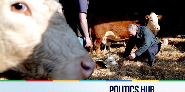 Politics latest: ‘Final nail in the coffin’ for farmers after Treasury refuses to budge on tax plans | Politics News