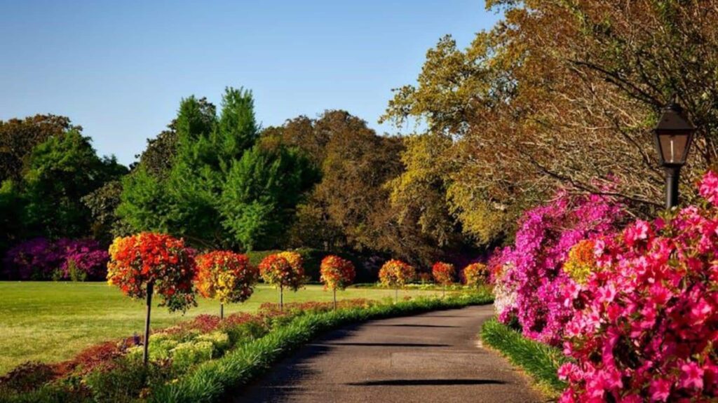 Stunning gardens you possibly can attain by trains