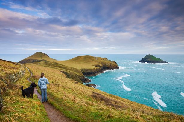 Woman and dog walking the South West Coast Path 